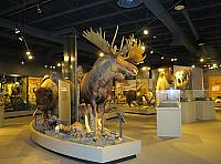IMG 2336