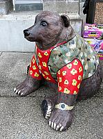 IMG 2897