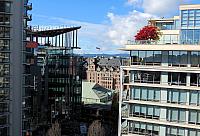 IMG 3007