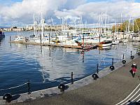 IMG 3015
