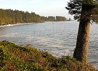 IMG 3051