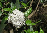 IMG 3191