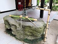 IMG 3530