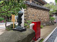 IMG 3541