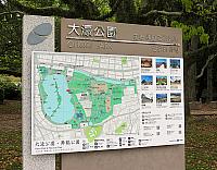 IMG 3564