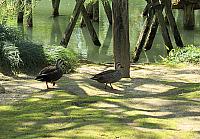 IMG 3738