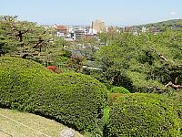 IMG 3739