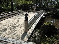 IMG 3752