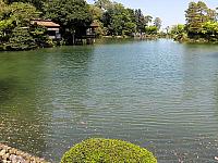 IMG 3760