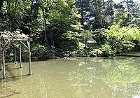 IMG 3764