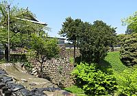 IMG 3771