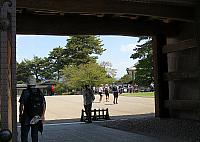 IMG 3786