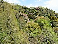 IMG 3419