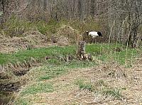 IMG 4177