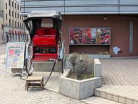 IMG 3988