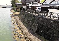 IMG 3889