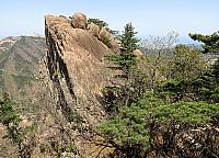 IMG 3672