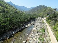 IMG 3680