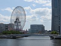 IMG 4116