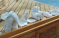 IMG 4291