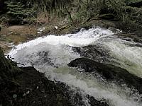IMG 7065