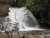 IMG 7072