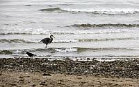 IMG 7095