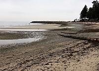 IMG 7096