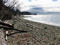 IMG 7105