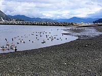 IMG 7120