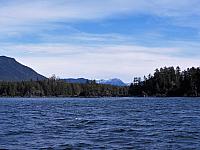 IMG 7203