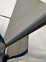 IMG 7230 (2)