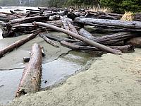 IMG 7240