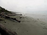 IMG 7242