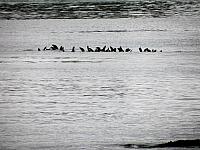 IMG 7264