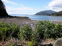 Alaska2005B 015