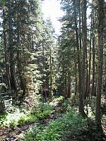IMG 1203