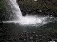IMG 0770