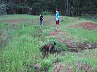 IMG 1277 copy