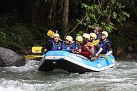 IMG 7237