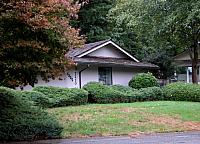 Yard-Remodel